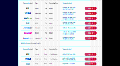 Payment options at Betchan Casino official website