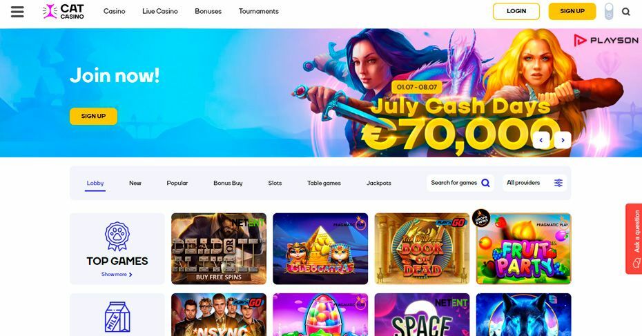 Open the official Cat Casino website by using a special link