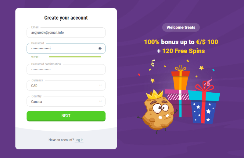 Fill out the first part of the questionnaire