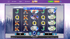 Play Wild Penguin at Cookie Casino