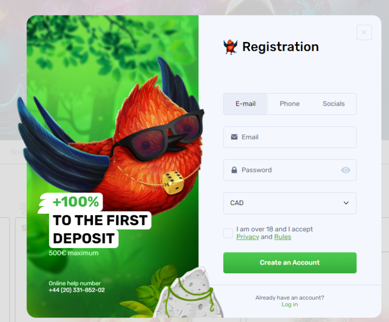 Provide your email address and create a password at Lucky Bird Provide your email address and create a password