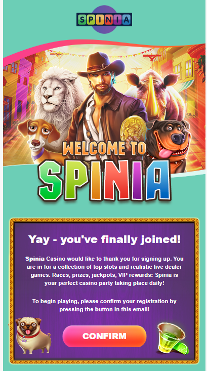 Wait for a confirmation email and open the link to verify your address