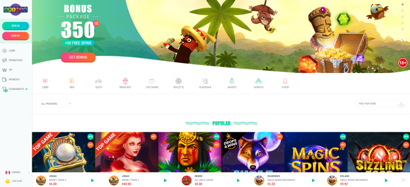 Use the link below to open the official website of the online casino